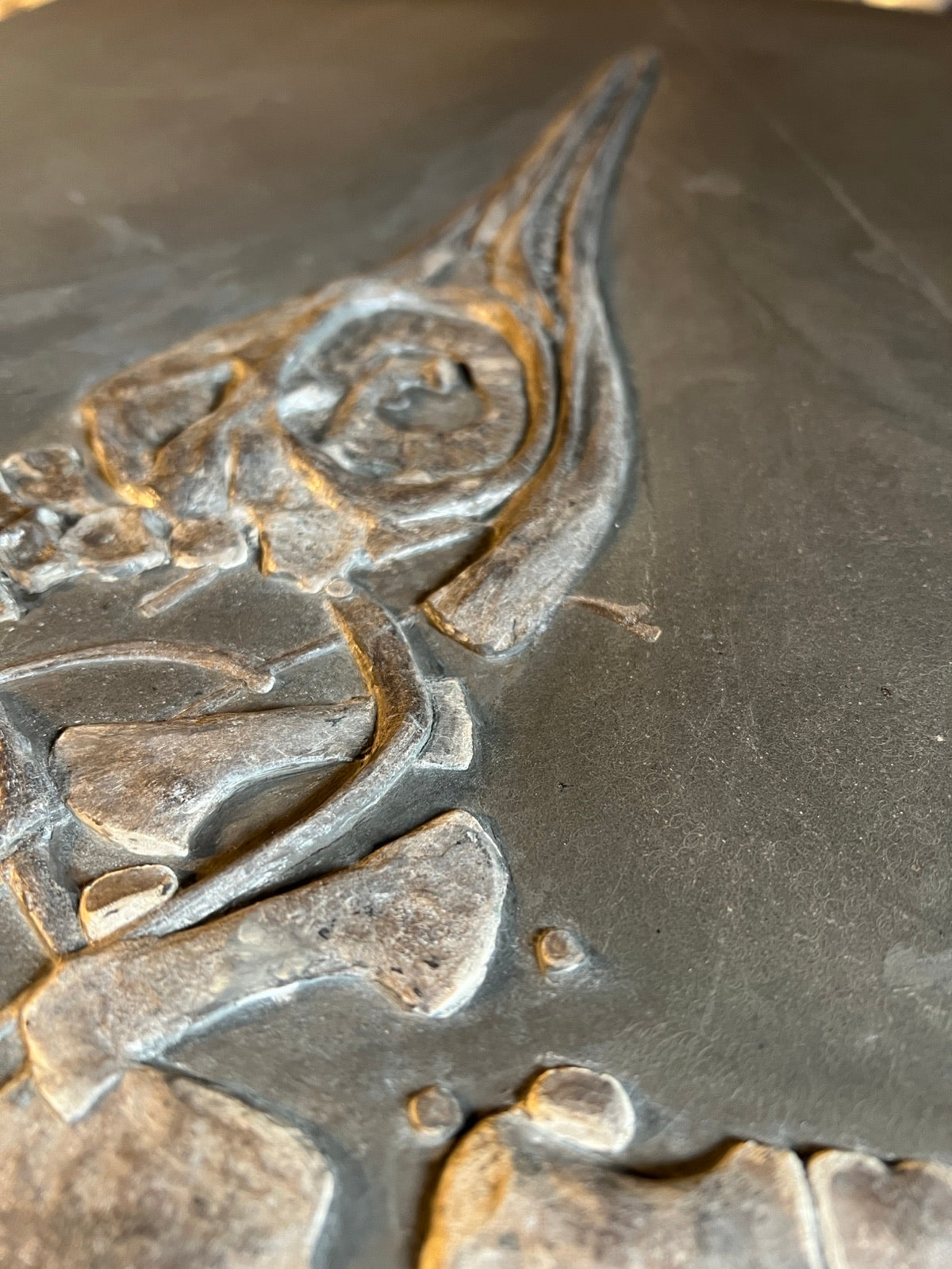 Juvenile ichthyosaur Stenopterygius sp. | Holzmaden, Germany