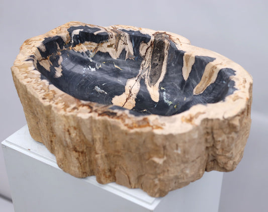 Petrified wood bowl | Indonesia