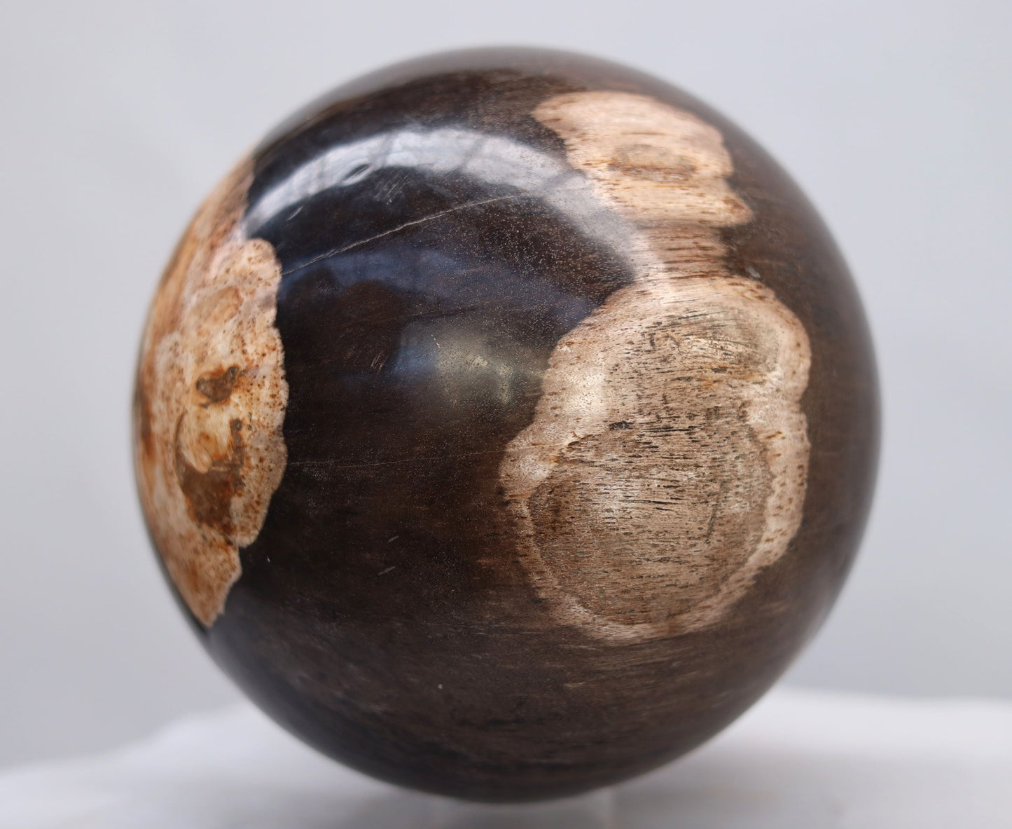 Boule de bois pétrifiée | Indonésie