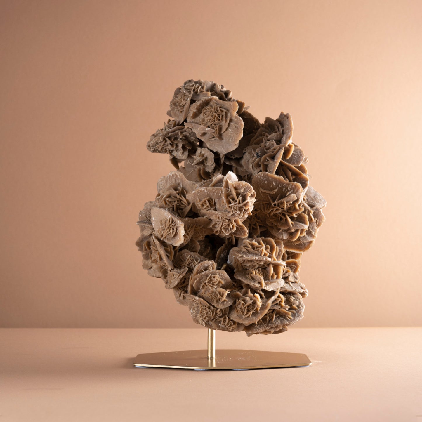 Desert Rose Selenite Crystal | Tunisia