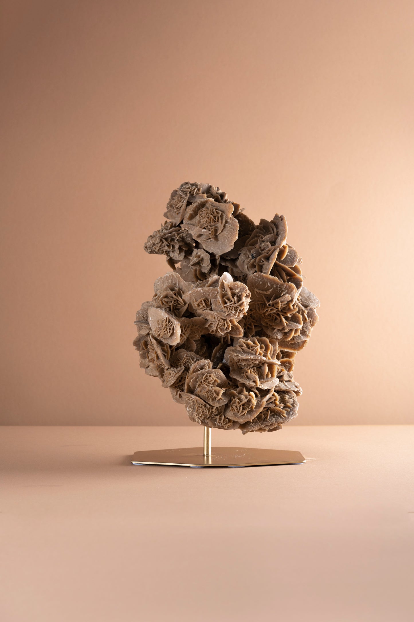 Desert Rose Selenite Crystal | Tunisia