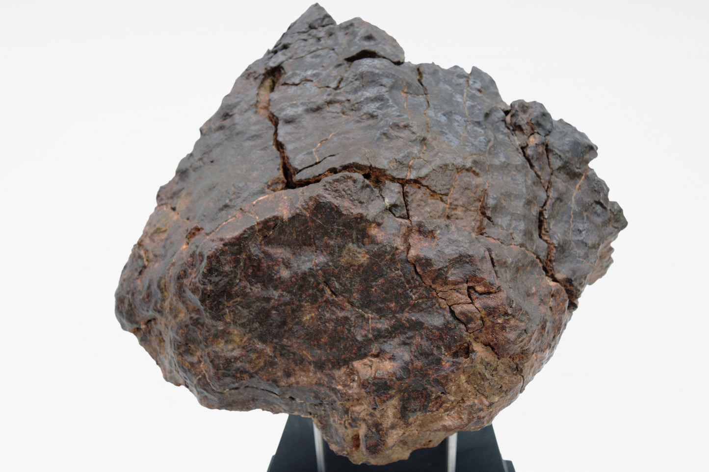 Chondrite meteorite | Morocco