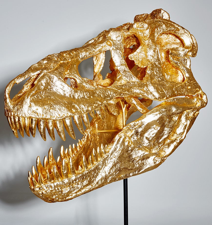 Golden T-Rex skull cast | Handmade in Germany