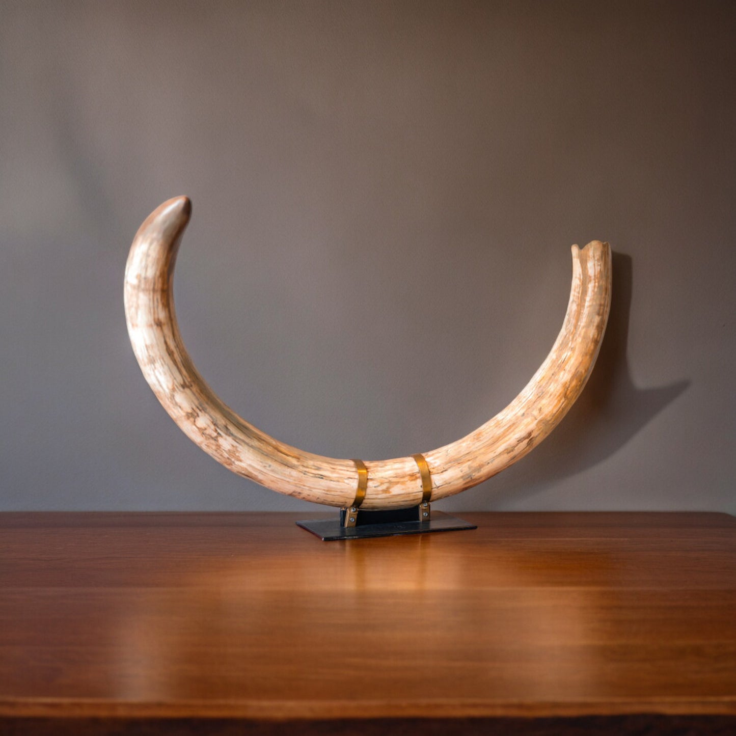 Woolly mammoth tusk | Russia