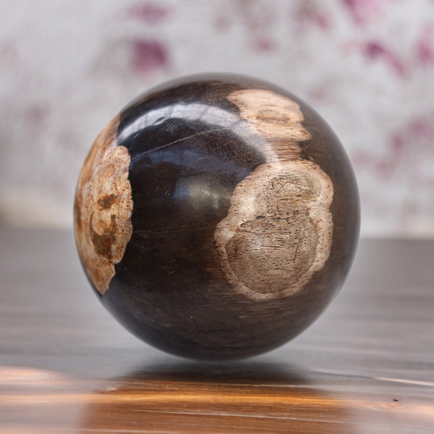 Boule de bois pétrifiée | Indonésie