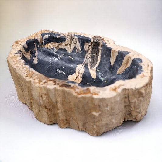 Petrified wood bowl | Indonesia